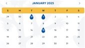 January 2025 Calendar Image