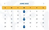 June 2025 Calendar (jpg)