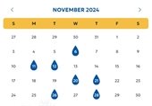 November 2024 Calendar Image with water drops on dates with something listed