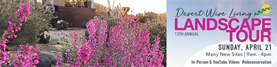 pink flowers in front of a house