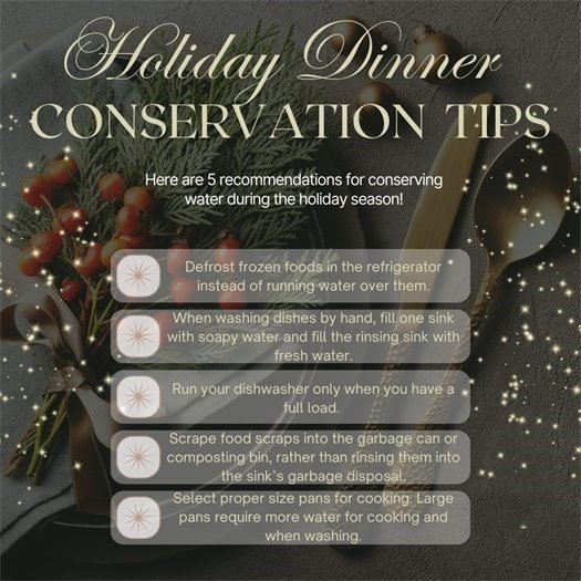 Holiday conservation tips
