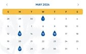 calendar