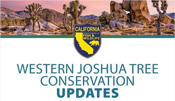 California Department of Fish & Wildlife Western Joshua Tree Conservation Updates banner