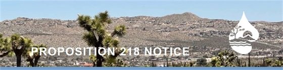 joshua trees and mountain (JPG)