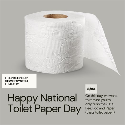 roll of toilet paper (jpg)