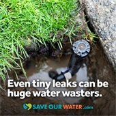 Desert Landscape irrigation photo of leaking sprinkler head