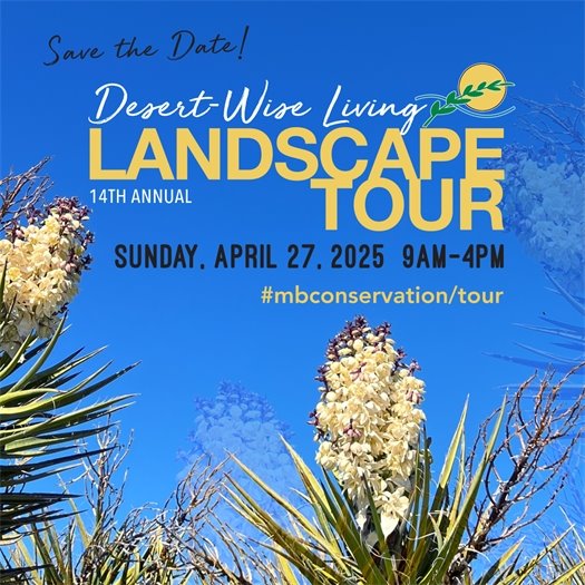 tour dates with blue sky and desert plant (JPG)